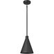 Axston 1 Light 8 inch Textured Black Outdoor Hanging Lantern